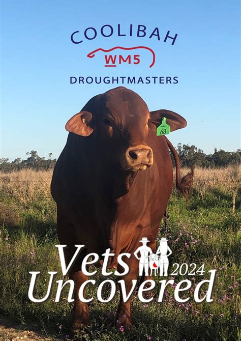 vets uncovered 2024|Vets Uncovered 2025 (@vetsuncovered2025) .